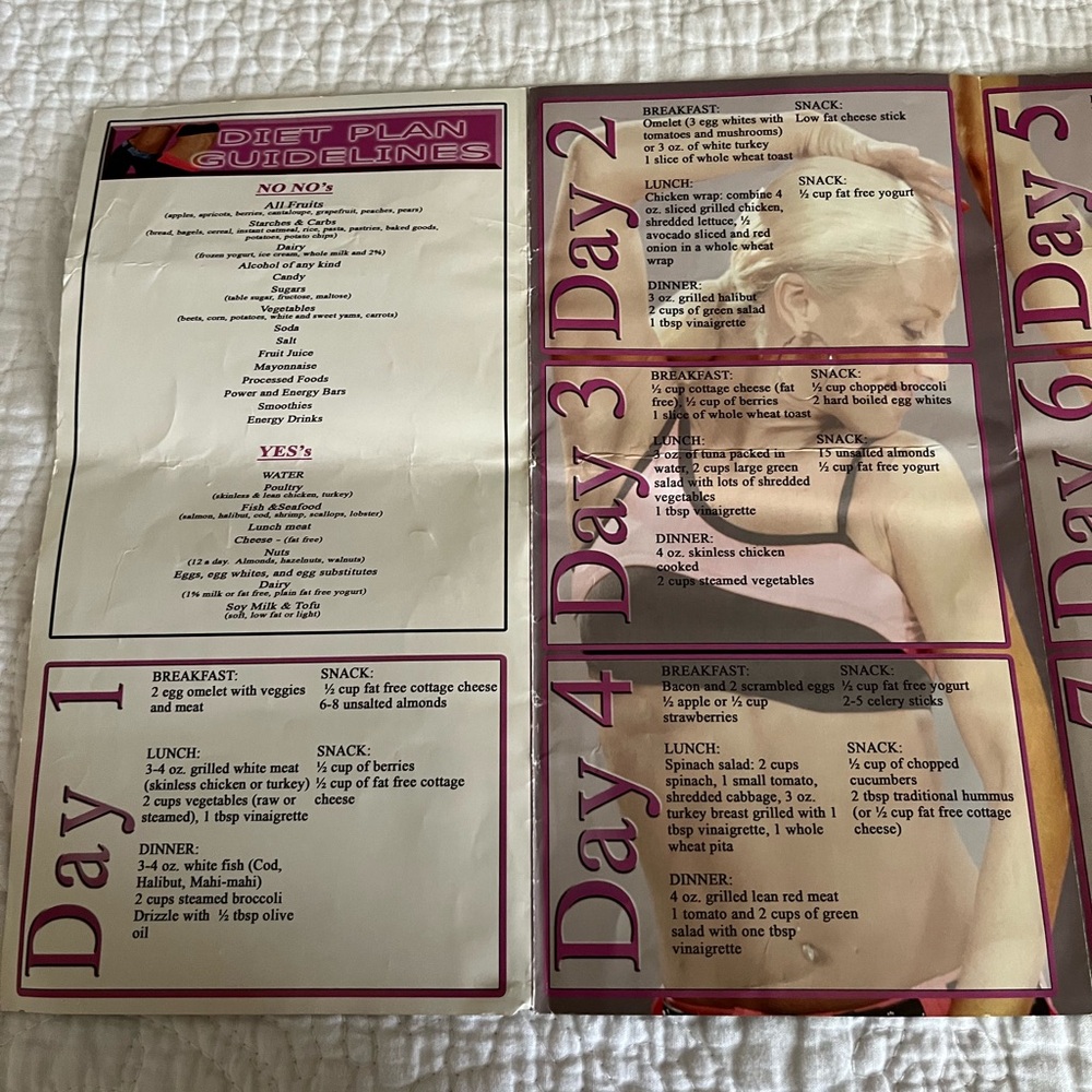 Core Video work out and diet plan brand new